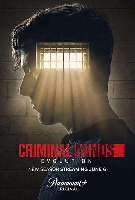 犯罪心理：演变 第十七季 Criminal Minds: Evolution Season 17 海报